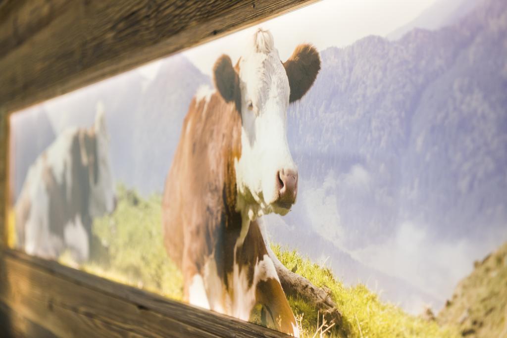 Pension Wendelstein Miesbach Extérieur photo